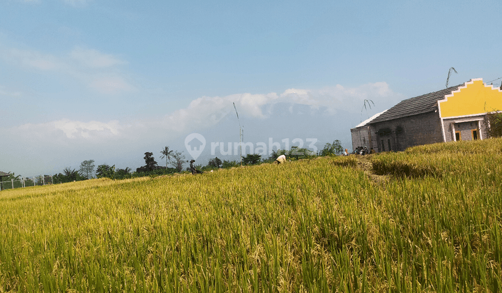 tanah sawah subur sangat strategis view lepas Gn salak dicaringin 2