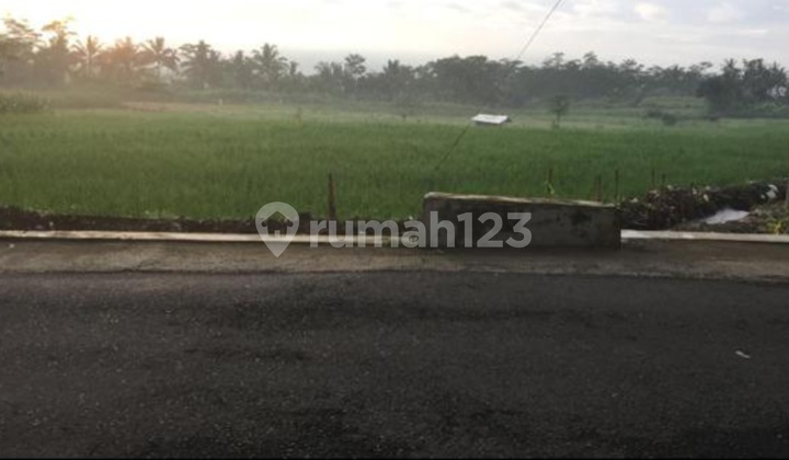 Tanah Kosong untuk Perumahan Utara Purwokerto