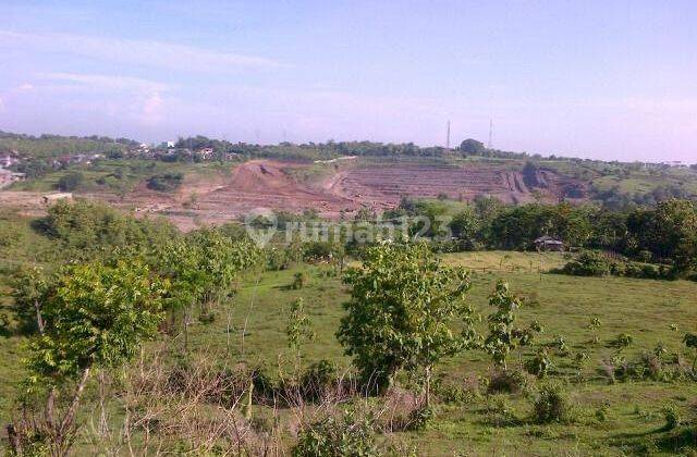 Lahan di tembalang undip 2