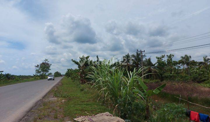 Tanah Industri Dekat KEK Tanjung Api-Api Sumatera Selatan 2