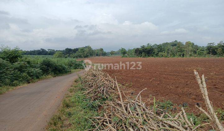 Lahan Zona merah di jual di Jepara Jawa tengah 2