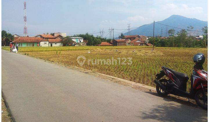 Tanah lokasi sangat strategis cocok untuk Perumahan 600 mtr dari jalan Raya 1