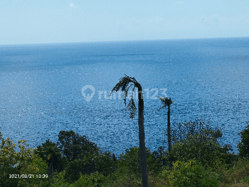 Tanah Los Tebing Los Pantai Nusa Penida Island Bali 2