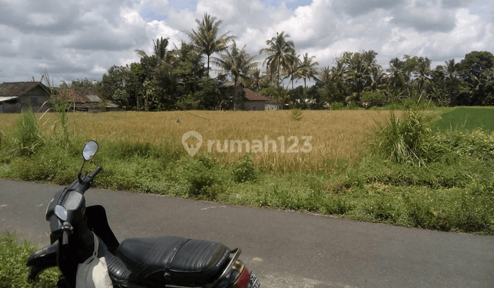 Tanah sawah pinggir jalan aspal di Mantaran, Trimulyo 2