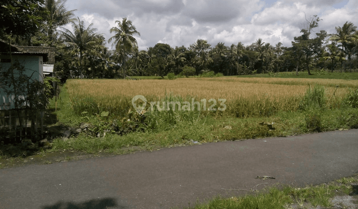 Tanah sawah pinggir jalan aspal di Mantaran, Trimulyo 1