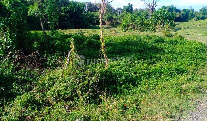 Cheap land for sale area jln by pas ida good mantra 1