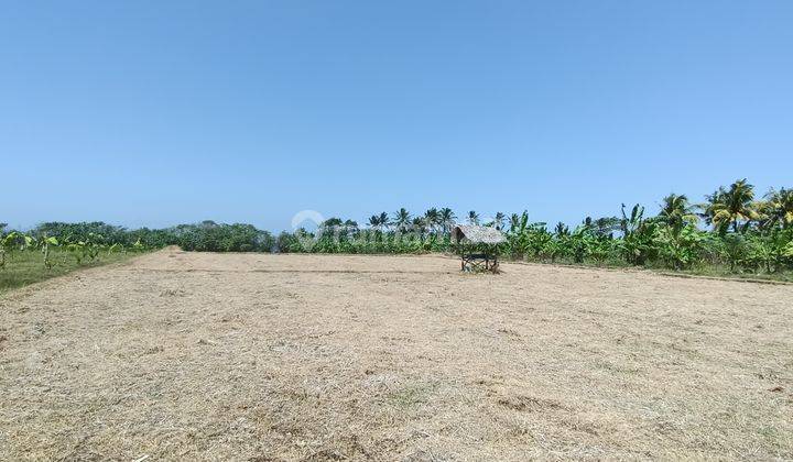 Beach front land near Paramount Bali 2