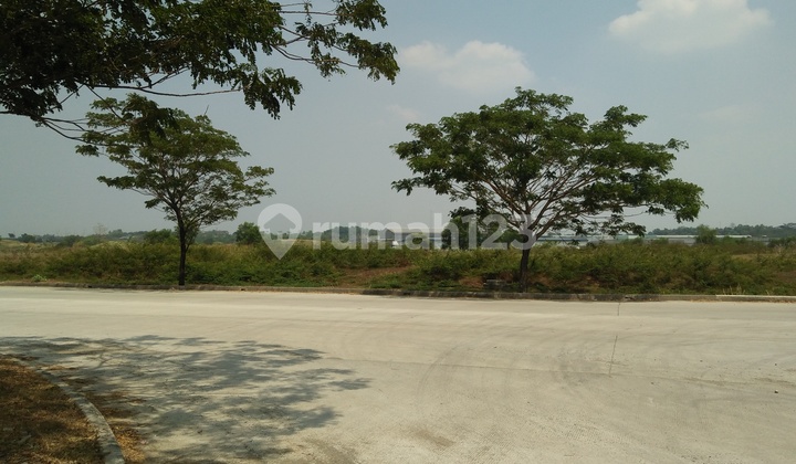 Tanah Delta silikon 3