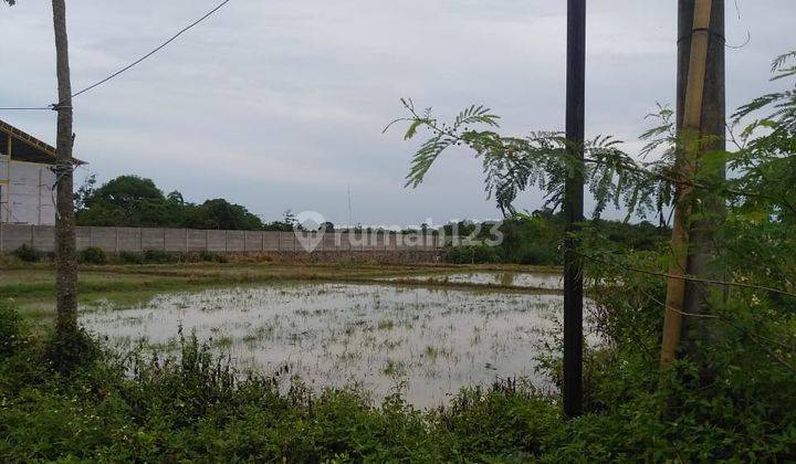 Dijual Cepat Tanah Raya Cikande km 13 Rangkas Bitung Tangerang 1