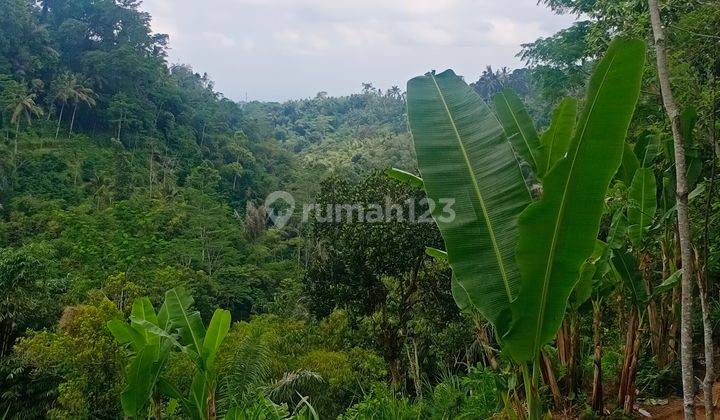 Vew land of rice fields and valleys, a calm and cool environment in Ubud 2