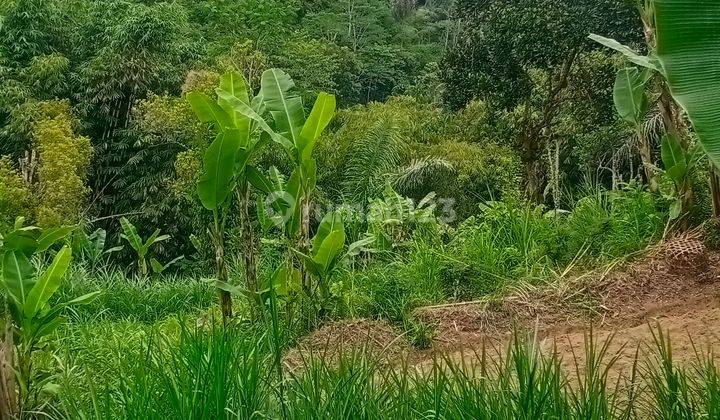 Vew land of rice fields and valleys, a calm and cool environment in Ubud 1