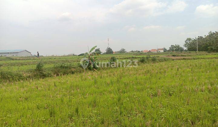 Zona merah murah untuk industri di Wirosari purwodadi Grobogan 1