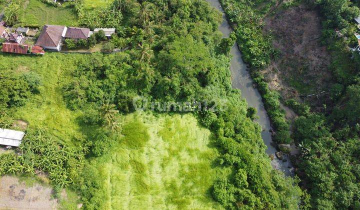 LANGKA! TANAH JL UTAMA LOSS LEMBAH DAN SUNGAI WOSS DI LODTUNDUH UBUD 2