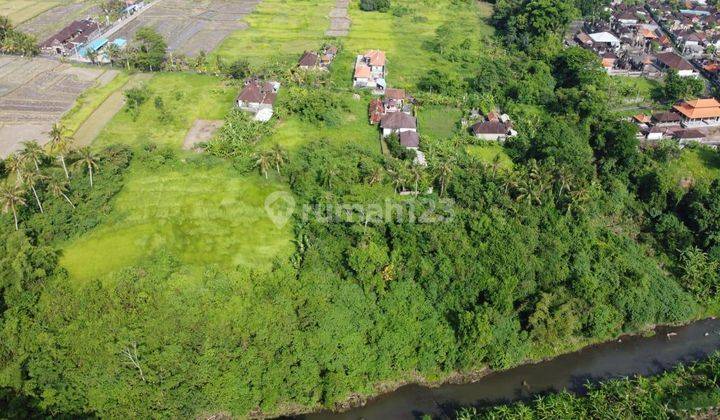 LANGKA! TANAH JL UTAMA LOSS LEMBAH DAN SUNGAI WOSS DI LODTUNDUH UBUD 1