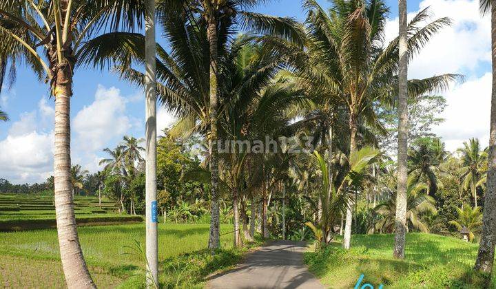 LANGKA! TANAH FULL VIEW SAWAH &amp; LEMBAH DI KELIKI UBUD 1