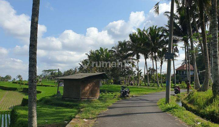 LANGKA! TANAH FULL VIEW SAWAH &amp; LEMBAH DI KELIKI UBUD 2