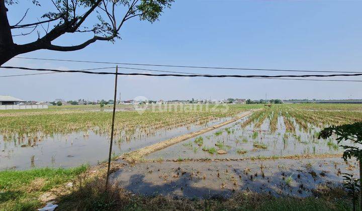 Tanah Kosong, Dijual Cepat Lahan Tanah Sawah Daerah Jalan Baru Karawang 1