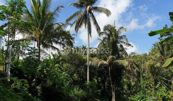 TANAH LOSS LEMBAH HIDEAWAY VILLAS TEGALALANG HILLS UBUD 1