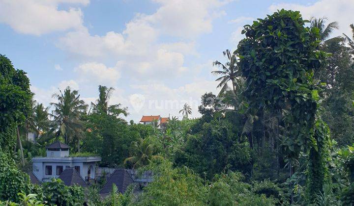 LANGKA! TANAH CENTRAL UBUD LOSS LEMBAH DAN SUNGAI 1