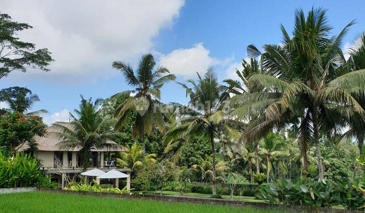 TANAH LOSS LEMBAH JL RAYA KELIKI UBUD 1