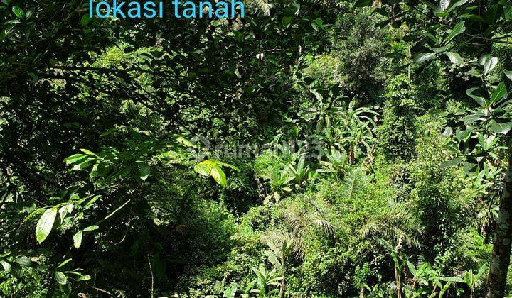 TANAH LOSS LEMBAH JL RAYA KELIKI UBUD 2