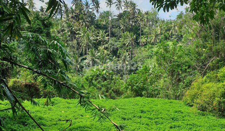 TANAH VALLEY EDGE BUKIT CAMPUHAN UBUD 1