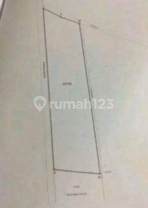 Tanah Keras 3 Ha di Tlg betutu Jl Rimbo Mulyo diblkg SMPN 49