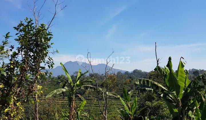 LAHAN LOSS LEMBAH SUNGAI VIEW GUNUNG DI BERESELA PAYANGAN UBUD 2