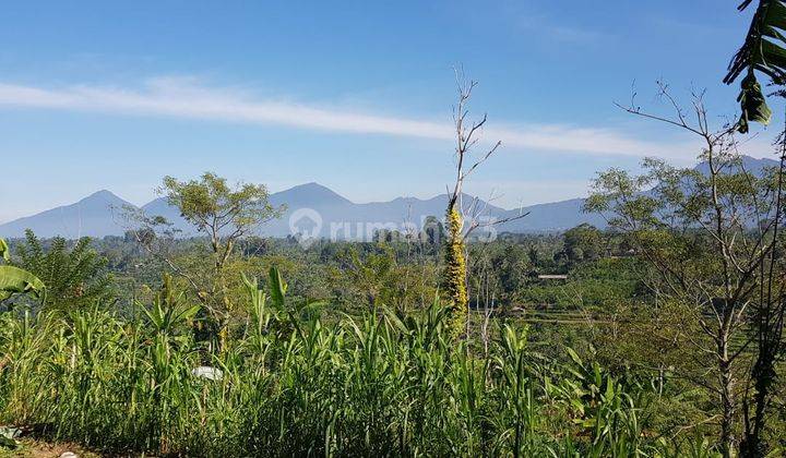 LAHAN LOSS LEMBAH SUNGAI VIEW GUNUNG DI BERESELA PAYANGAN UBUD 1