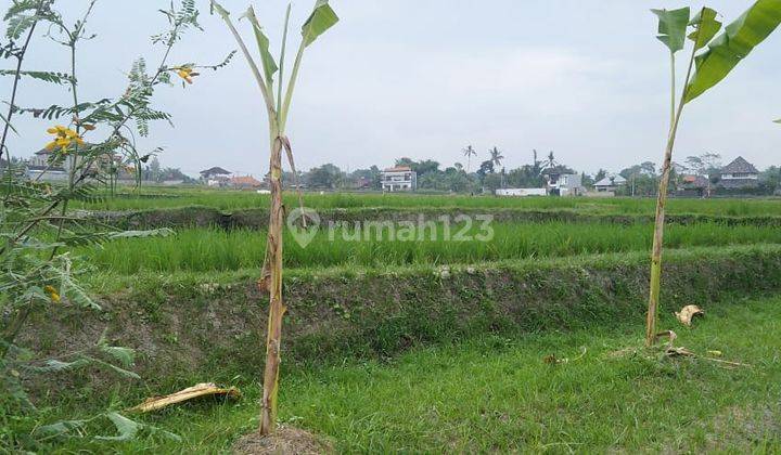 LODTUNDUH LAND NEAR UBUD CENTRAL 2