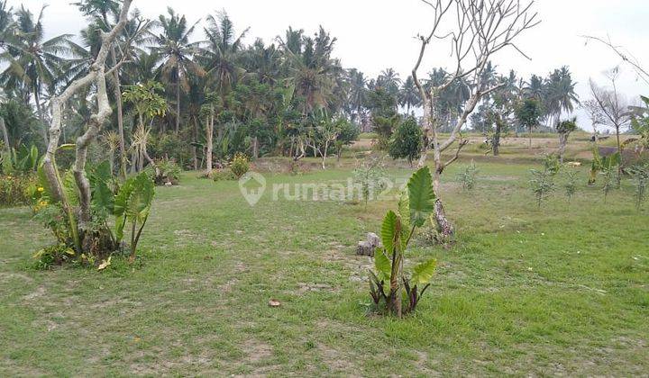 LODTUNDUH LAND NEAR UBUD CENTRAL 1