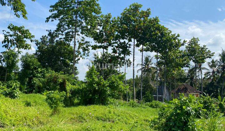 TANAH LOSS LEMBAH DAN SUNGAI DI SILAKARANG DEKAT CENTRAL UBUD 2