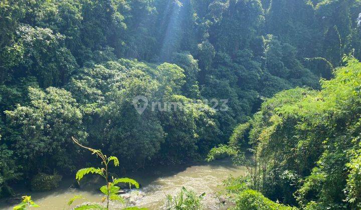 TANAH LOSS LEMBAH DAN SUNGAI DI SILAKARANG DEKAT CENTRAL UBUD 1