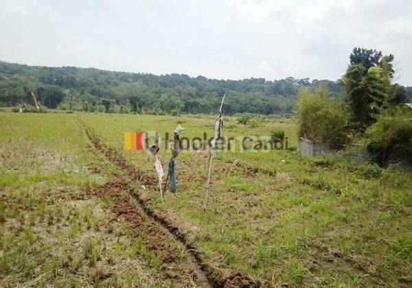 Kavling di Sidorejo Tambangan Mijen Semarang 1