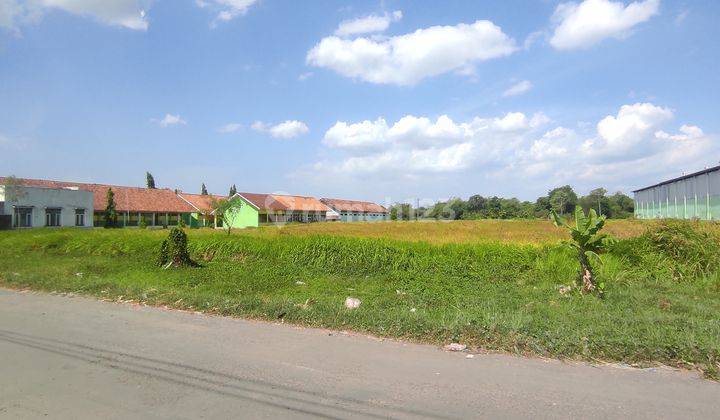 Tanah di Lahan Industri dan Pergudangan Dekat Pintu Tol Plumbon Cirebon 1