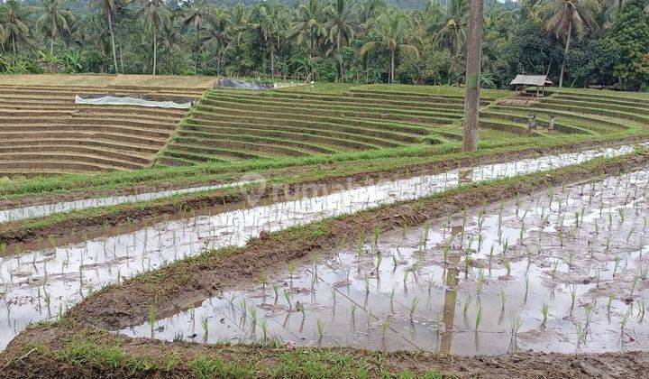 Tanah view sawah terasering di Tabanan Bali 2