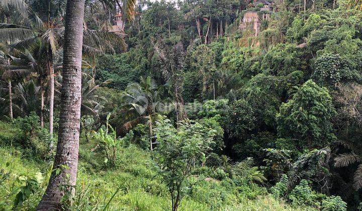 LANGKA! TANAH LOSS LEMBAH SUNGAI DI KELIKI TEGALALANG UBUD 1