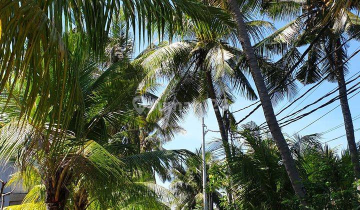 TANAH BEACH FRONT UNBLOCK PANTAI LEBIH GIANYAR SEBELAH BALI SAFARI 2