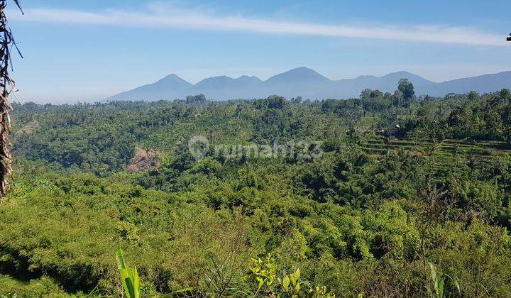 LAHAN LOSS LEMBAH SUNGAI VIEW GUNUNG DI BERESELA PAYANGAN UBUD 1