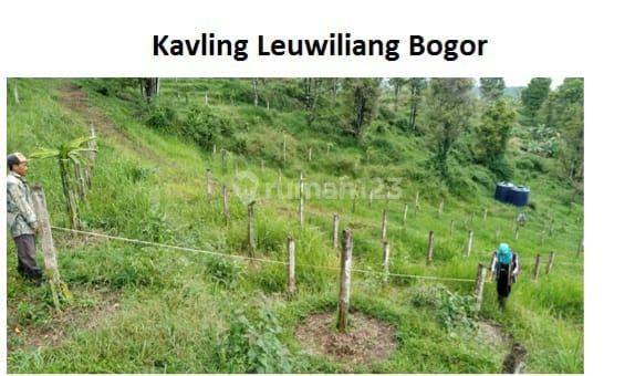 tanah perkebunan  di leuwiliang bogor 1