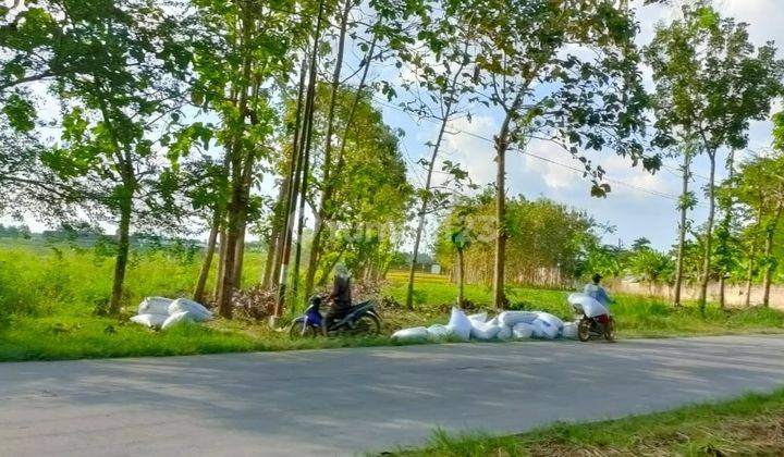 Jual lahan industri buat pabrik di Purwodadi Grobogan 1