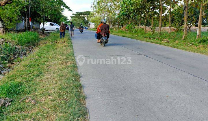 Jual lahan industri buat pabrik di Purwodadi Grobogan 2