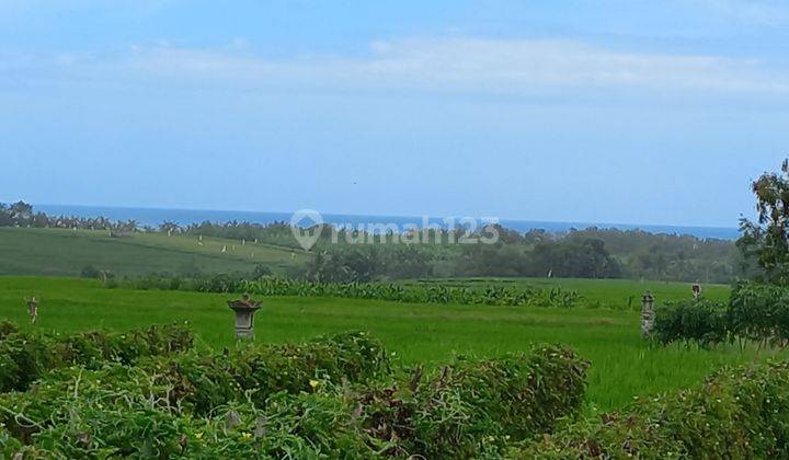 BEAUTIFUL LAND WITH SEA VIEW 1