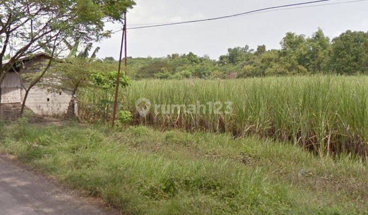 Jual Tanah di Grati Pasuruan Harga per Meter Terbaru Jual Tanah di Grati Pasuruan Harga per Meter Terbaru