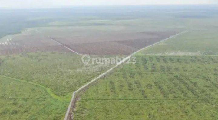 Cari lahan 20.000 Ha utk Perkebunan di Sumatera Selatan dalam 1 blok. 2