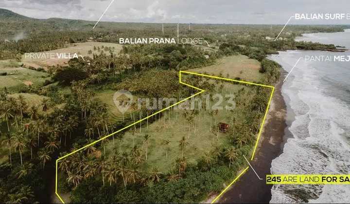 Murah tanah premium beach front Pantai Mejan, sebelah Pantai Surfing Balian, Tabanan, Bali
