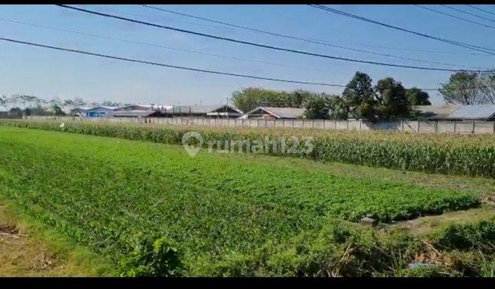 Lahan Plot Pergudangan dan Industri Raya Nasional 1