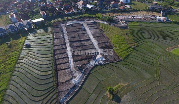 VILLAS AREA LAND NEAR BEACH IN CANGGU 2