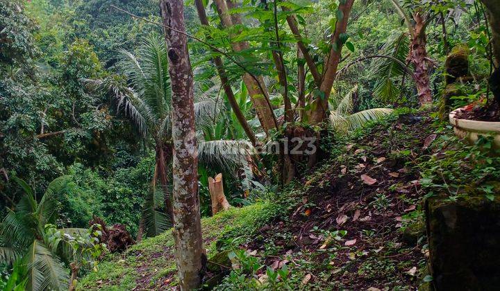  tanah  vew sungai dan lembah area ubud 2