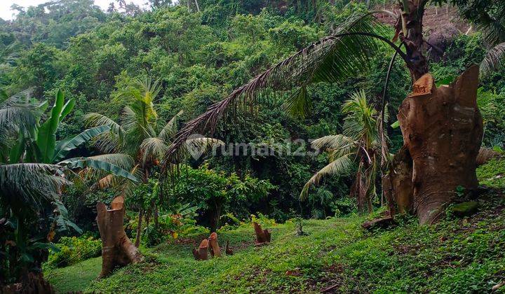  tanah  vew sungai dan lembah area ubud 1